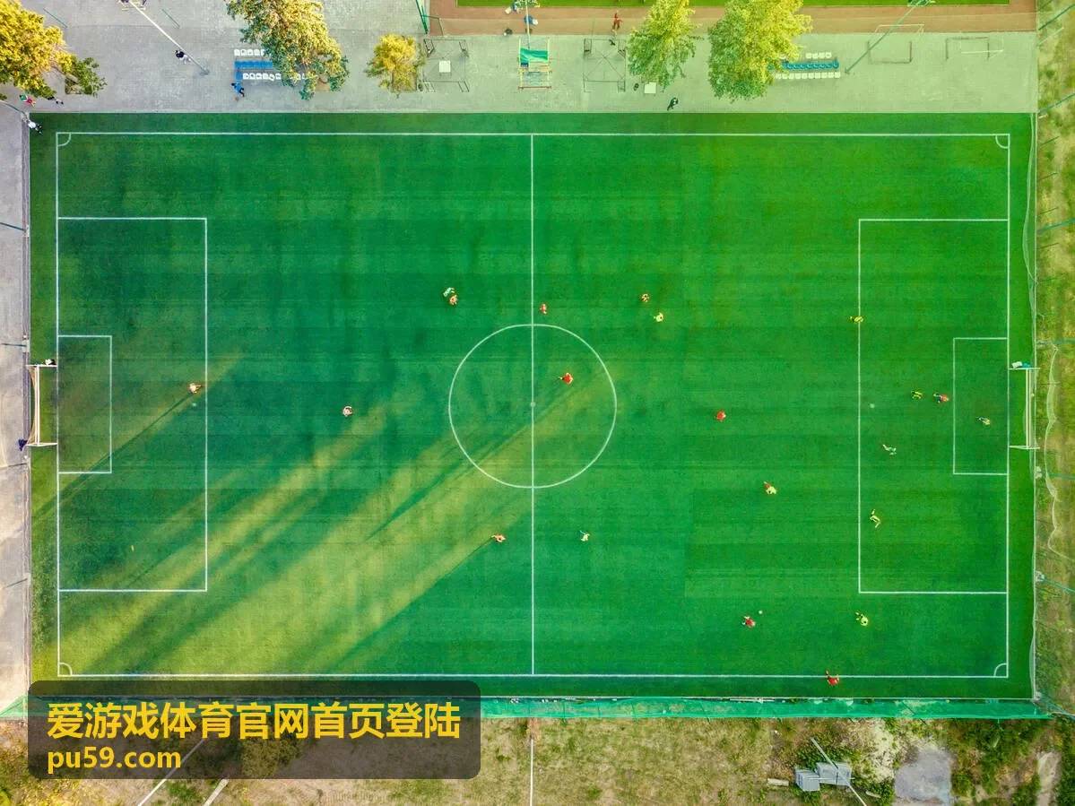 爱游戏体育官网首页登陆入口界面示意与赛事实时数据